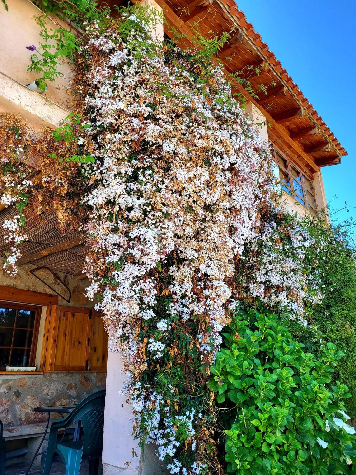 Casa Rural Balcon Del Camino Viejo Valencia de Alcántara Exterior photo